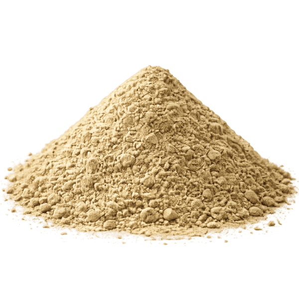 San Pedro Cactus Powder | Botanical Reference Material