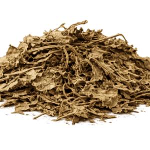 Dried Salvia divinorum leaves and stems