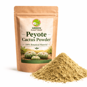 Sealed package containing finely ground peyote cactus powder