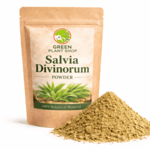 Salvia divinorum powder extract displayed in a sealed research pouch