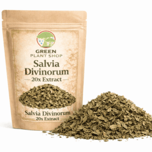 20x Extract Salvia Divinorum concentrated dry leafs