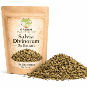 Viewers examine a close-up of Salvia divinorum 5x extract