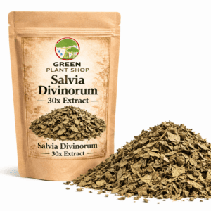 High-quality 30x Salvia Divinorum extract with verified potency