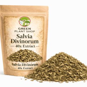 Salvia divinorum 40x extract in sealed container for ethical use