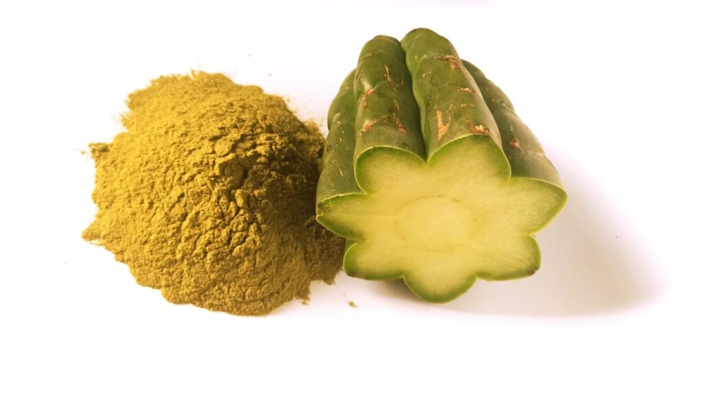 San Pedro Cactus Powder Extract Packaging