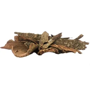 Buy Acacia confusa root bark Taiwan whole unprocessed